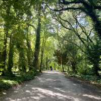 Exploring the Kilkenny Castle Trail