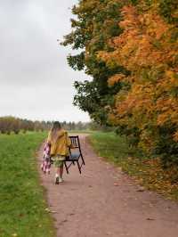 가을의 모스크바 🍂