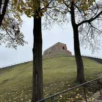  A Panoramic Journey Above Vilnius