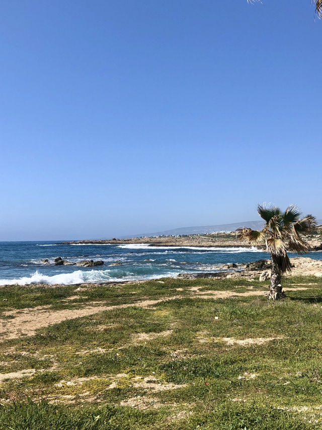 The Sands and Scenery of Cyprus 