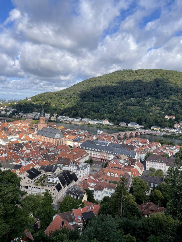 【ドイツ🇩🇪】ドイツ随一のロマンティックな古城、時を超える絶景へ！
