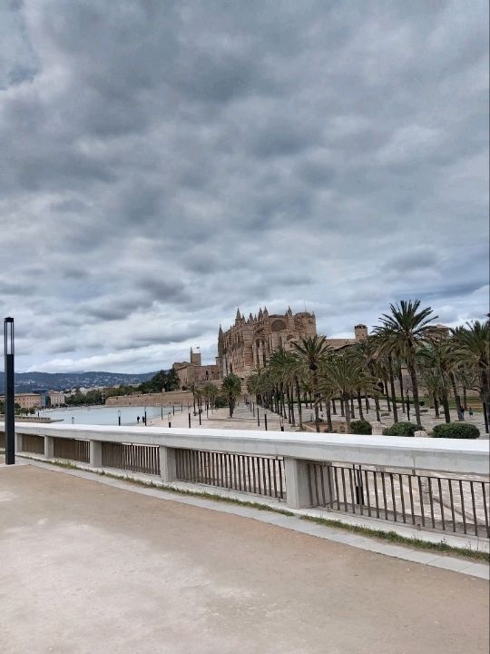 A trip to palma