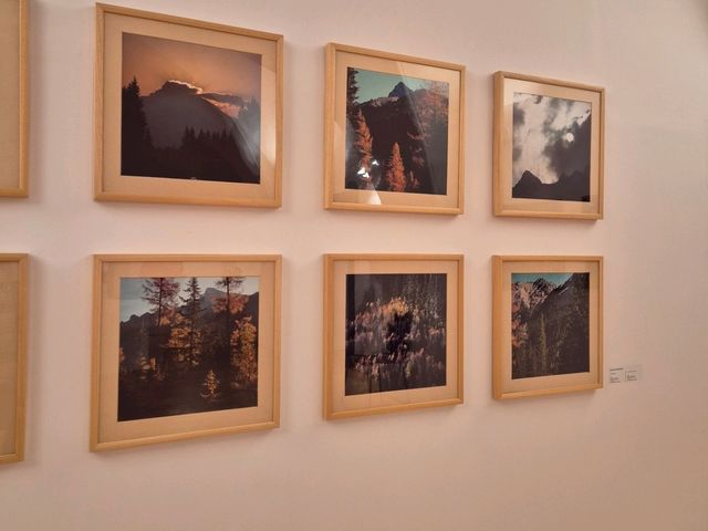 A gallery with a rotating cast of themes and artists!