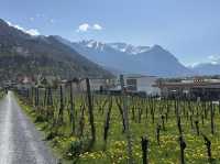 🏰 Liechtenstein: Europe’s Tiny Treasure Between the Alps 🇱🇮✨
