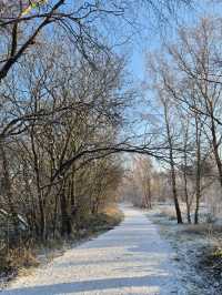 Worsley Canal stunning winter walk