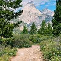 🚗 Getting Around Grand Teton National Park: Smart Travel Tips