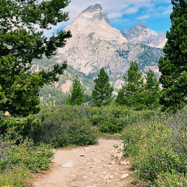 🚗 Getting Around Grand Teton National Park: Smart Travel Tips