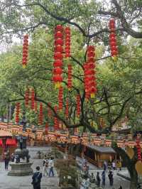 Hangzhou 10 Days Itinerary