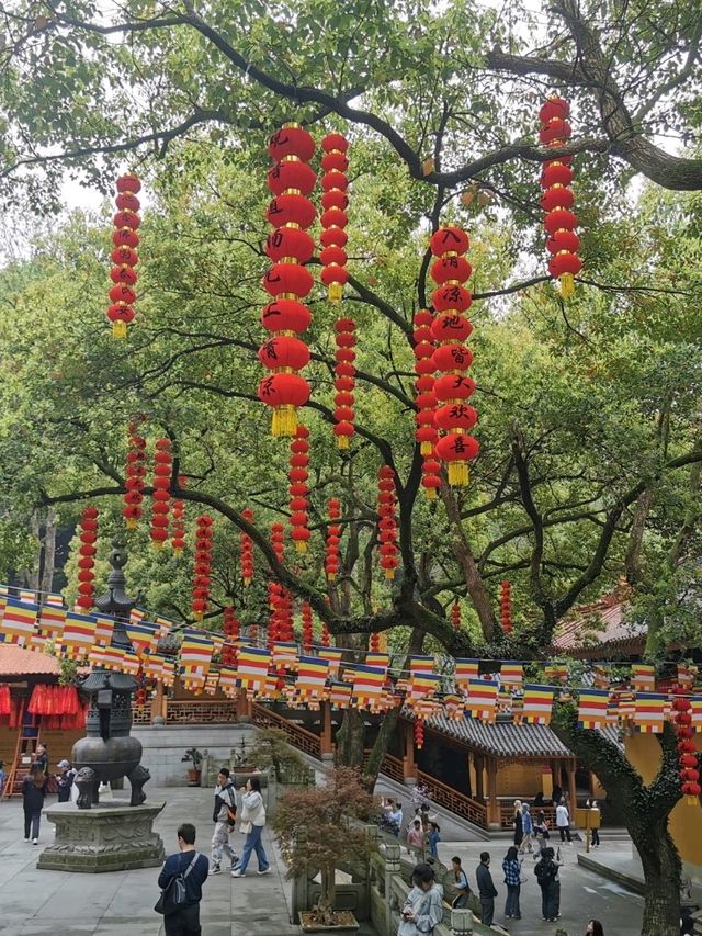 Hangzhou 10 Days Itinerary