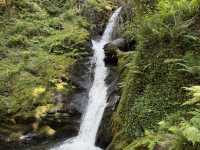 Dolgoch Waterfall - a hidden gem located within Snowdonia’s beautiful national park 