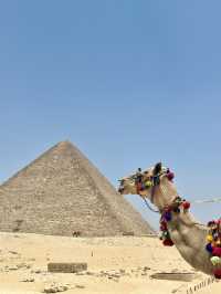 Explore Great Pyramids of Giza as Solo Traveler