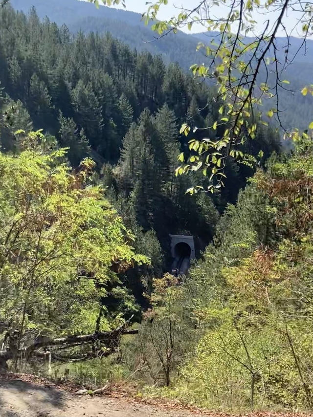 The Šarganska osmica is one of the most popular tourist attractions in Montenegro. 