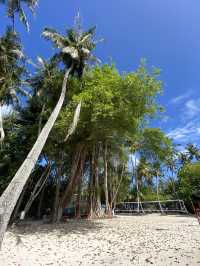Maldives: The Ultimate Paradise for Diving Wrecks and Coral Reefs