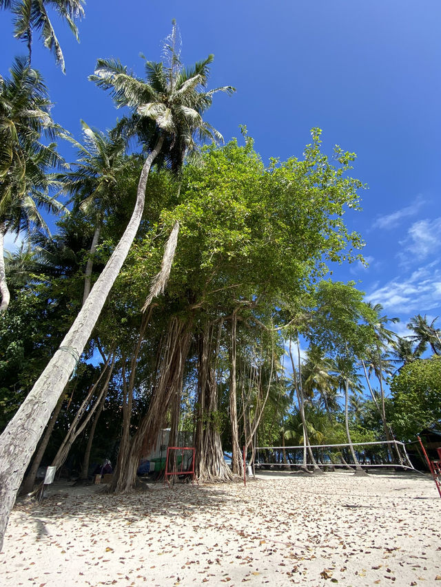Maldives: The Ultimate Paradise for Diving Wrecks and Coral Reefs