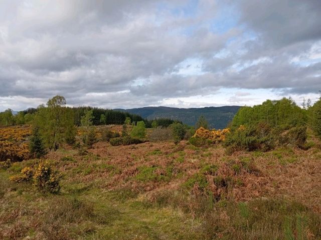 A visit to the shores of Loch Ness 