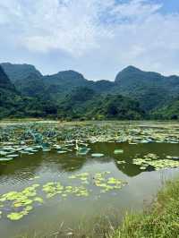 🥾 Backpacking Through the Wild – Big Views, Small Budget