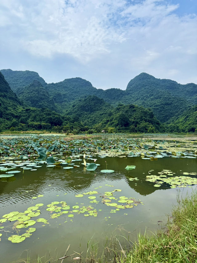 🥾 Backpacking Through the Wild – Big Views, Small Budget