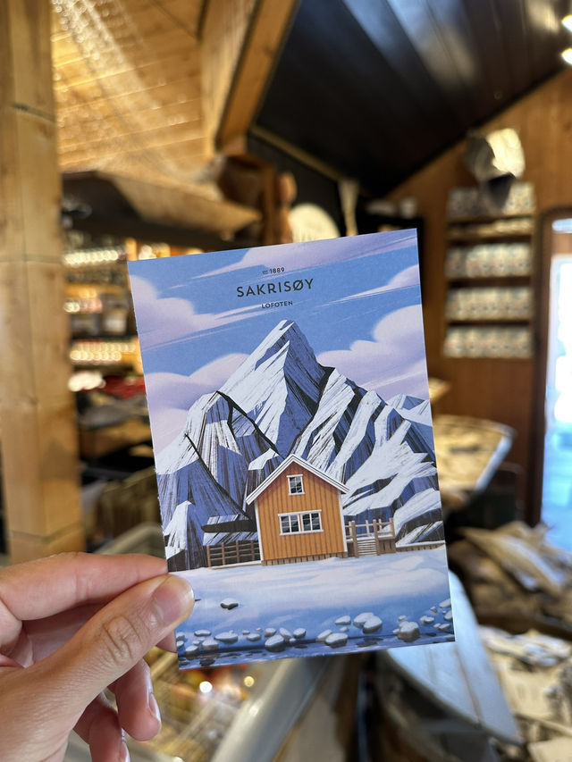 【挪威Lofoten Island 自駕遊! 夏天天空不會黑的行程！】