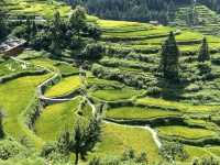 Epic Hike: Liping to Tang’an Dong Village—China’s Dreamy Terraced Trail 🌾✨