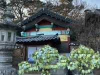 South Korea Itinerary 4: Daegu's Hidden Gem Getaway