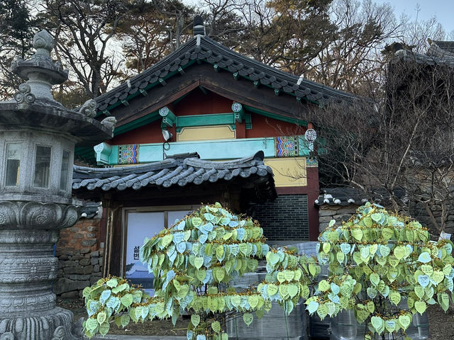 South Korea Itinerary 4: Daegu's Hidden Gem Getaway