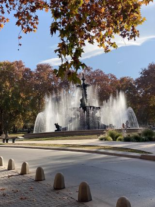 아르헨티나 여행: 산 마르틴 국립공원에서 느끼는 초록의 기운!