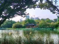 상하이 엑스포 공원: 황푸강과 노을이 어우러진 도심 속 힐링 🌇🌿🏙️