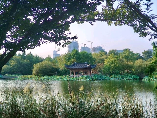상하이 엑스포 공원: 황푸강과 노을이 어우러진 도심 속 힐링 🌇🌿🏙️