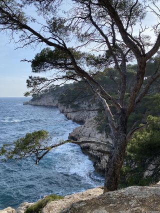 อุทยานแห่งชาติ Calanques หรือ Marseille Fjords