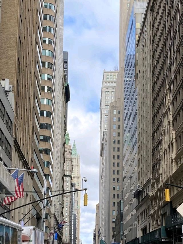 Urban Vibes NYC 🌆