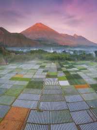 🌴 Lombok: Indonesia's Unspoiled Jewel