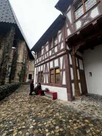 UNIVERSITÄT BASEL — WHERE HISTORY MEETS MINDS THAT SHAPE THE FUTURE 🇨🇭