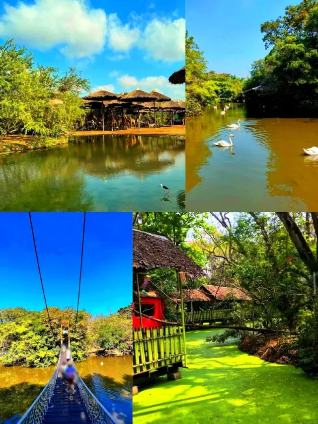 Safari World Bangkok, A Wild Adventure in the City