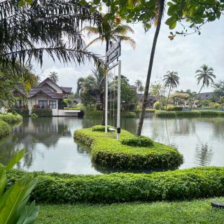 Ready to unwind in Kumarakom? Gokulam Grand Resort & Spa is a spectacular lakeside retreat that hits all the right notes for a peaceful getaway—with picture-perfect gardens, tranquil backwater views, and some of the tastiest food you'll have on your trip! 🌴✨ The setting is ideal for those craving nature, relaxation, and a touch of luxury away from the rush.

Nestled along the scenic Athikkalam Ammankari Road, this resort is very accessible by car and is just a short drive from Kottayam Railway Station. The meandering walking paths surrounded by lush greenery invite you out for a morning stroll or peaceful sunset walk. The rooms—impeccably clean and plush—set the scene for a truly restful stay.

But what really sets Gokulam Grand Resort & Spa apart is the warmth of its staff. The friendly team is always ready to help, going the extra mile to ensure you feel at home. Foodies will be in heaven—the extensive buffet and à la carte options feature regional specialties and global favorites, with staff quick to cater to special diets.

For activities, there’s kayaking and some cultural shows, but if you’re seeking non-stop entertainment, you might find options a bit limited—though the serene vibe is perfect if you just want to unwind. Don’t forget to snap a photo on the backwater bridge for those Insta-worthy memories!

To book your stay, head to trip.com early for the best rates—this resort is popular, especially during weekends and holidays. Pair your visit with a houseboat tour and a stop at Kumarakom Bird Sanctuary for the ultimate backwater escape.

#kumarakom #resortstay #luxurytravel #indiahotels #tripdotcom