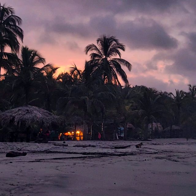 Paradise:Tayrona National Park 🏖🌿🦜