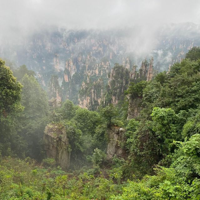 Tianzi mountain 