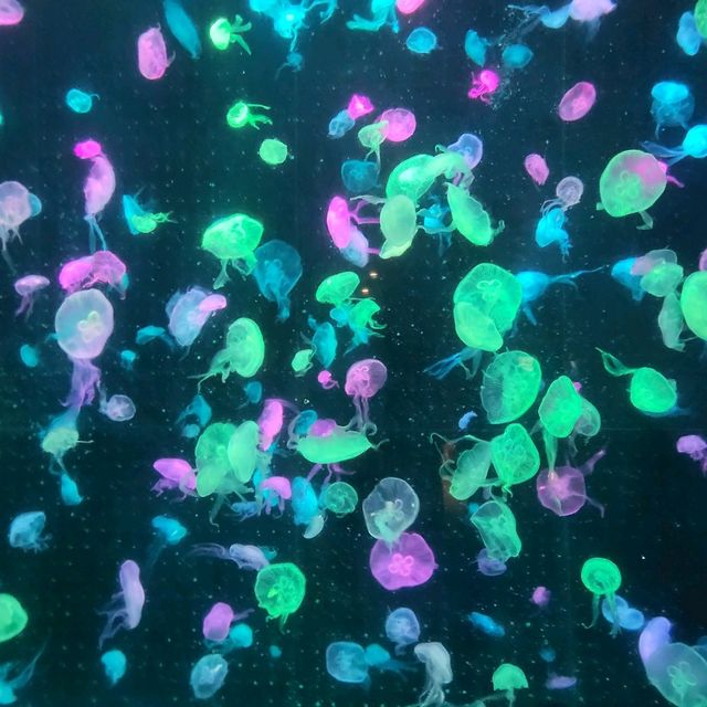 珠海長隆必到的主題樂園