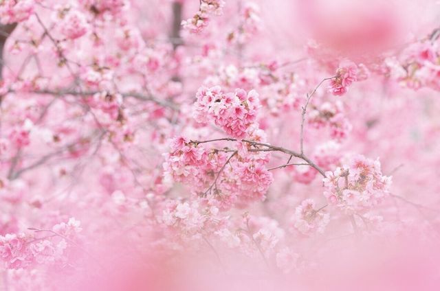 Japan - Fukuoka