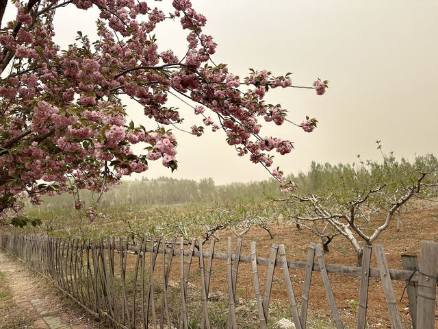 Sishui Leisure Valley Art Town