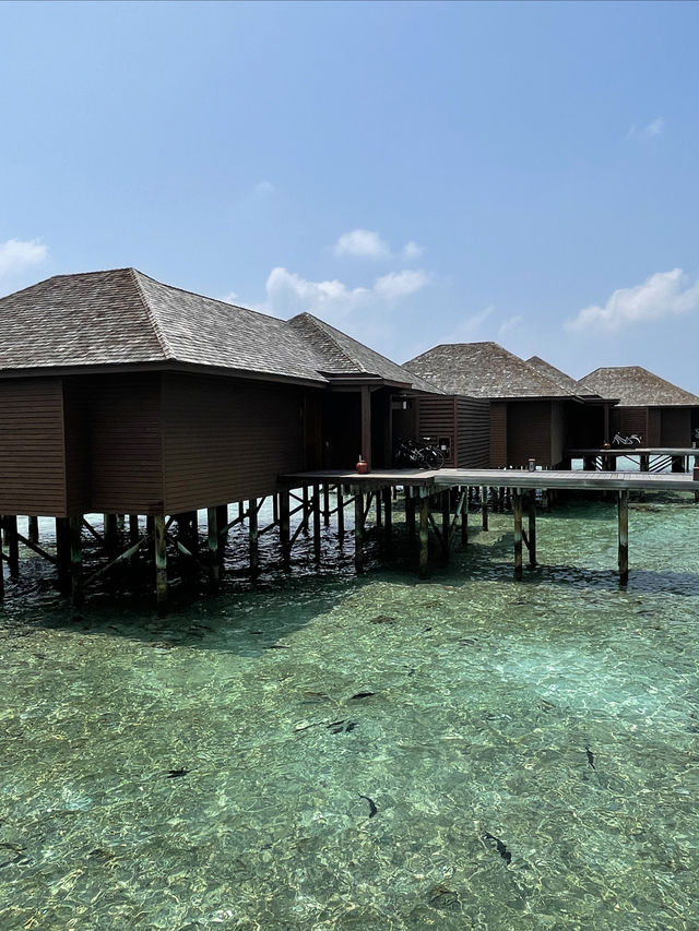 Fairy Coral Island