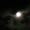 GossamerNuit222