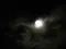 GossamerNuit222
