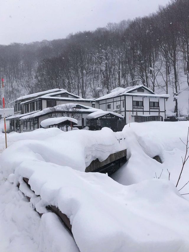 沉浸在雪中的溫泉東北秋田溫泉旅館