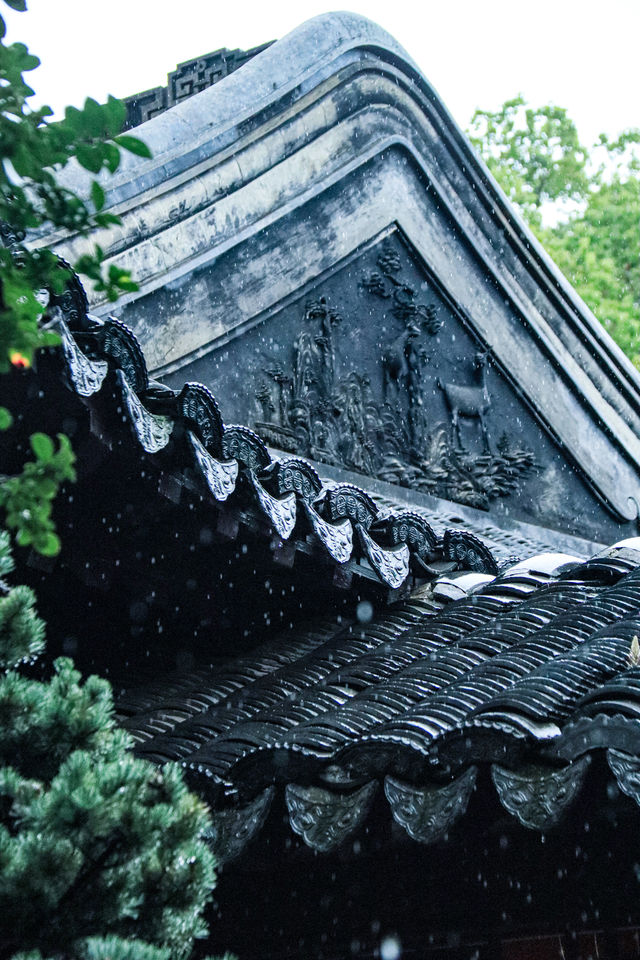 看不夠的江南雨｜雨天慢遊常熟曾趙園宛若走進了詩畫裡