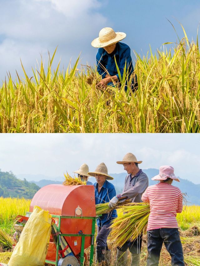 西安周邊小眾旅行地美哭了