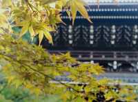 10月: 京都大倉酒店 岡崎別邸