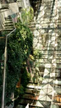 藏在泉州都市裡的室內“空中花園”