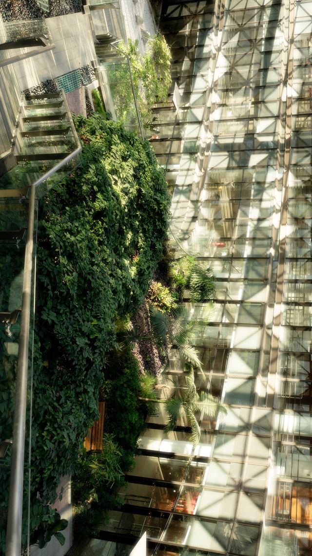 藏在泉州都市裡的室內“空中花園”