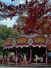 上海共青森林公園旅遊攻略