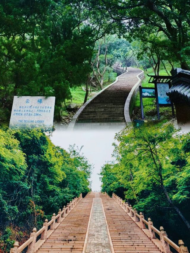青島｜封神榜｜琅琊台~攻略